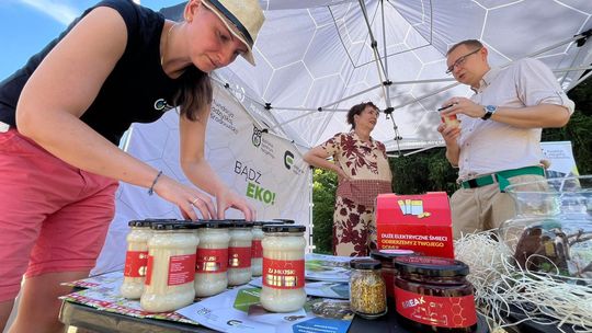 Były stare pralki, teraz jest miód. Miejska pasieka nadal działa