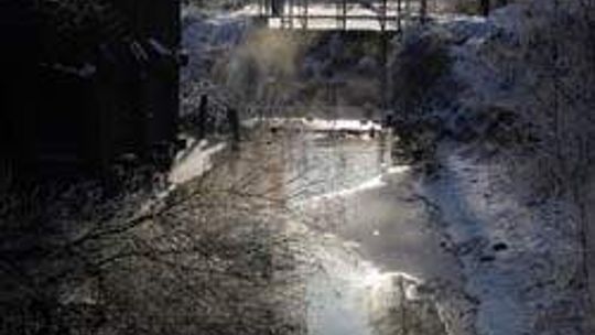 Bystrzyca w Kiełczewicach (nr 40) - 4 głosy