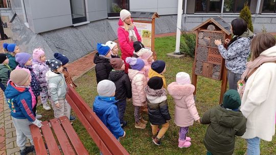 Odnowiona łąka kwietna w Cementowni Chełm zapewnia owadom dostęp do pyłku i nektaru, a dzieci z lokalnych szkół uczą się, jak chronić zapylacze w swojej okolicy.