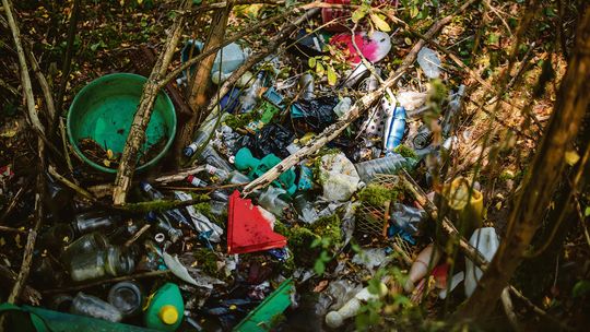 Zaczęło się nad Bugiem