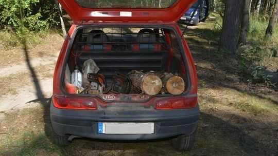 Całe gangi kradną drewno z lasu. Jak jest w Lubelskiem?