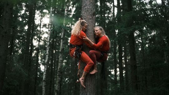 Carnaval Sztukmistrzów. Lublin stanie na głowie [program] 
