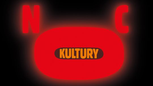 Casting do projektu Willi Dornera