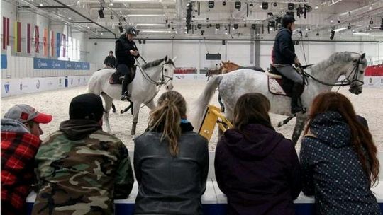 Cavaliada 2013, czyli święto jeździectwa w Lublinie (zdjęcia)