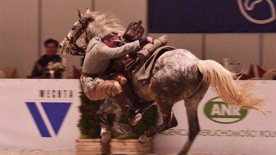 Cavaliada 2013 po raz pierwszy w Lublinie (zdjęcia, relacja)