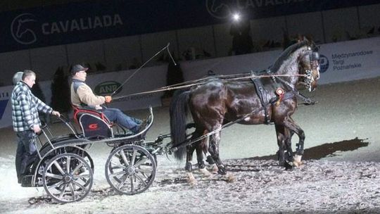 Cavaliada 2013: Takiej imprezy w Lublinie jeszcze nie było (wideo)