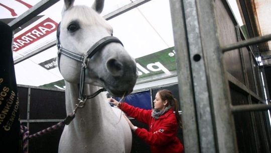 Cavaliada 2014 od dziś do niedzieli w Lublinie (zdjęcia)