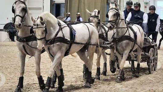 CAVALIADA 2018 w Lublinie. Zawody w Powożeniu Zaprzęgami Czterokonnymi