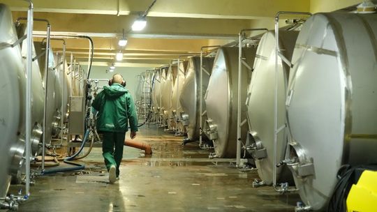 CBOS: 58 proc. pracujących zarobkowo ocenia, że sytuacja w ich zakładach pracy jest dobra