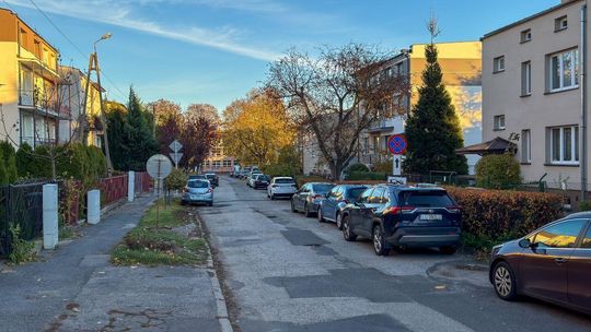 Cedrową tylko w jednym kierunku? To może pomóc okiełznać chaos