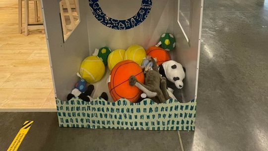 Centrum handlowe w Lublinie czeka na maskotki. Gdzie trafią?