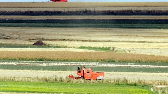 Ceny gruntów rolnych nadal rosną