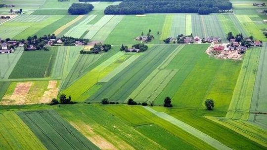 Ceny gruntów rolnych rosną. Przez dekadę o 426 proc. w Lubelskiem