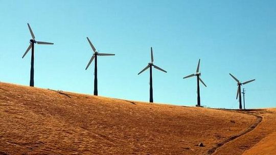 Chcą budować farmy wiatrowe: To czysta energia i czysty zysk