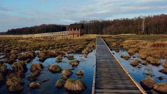 Chcą budować kopalnię obok Poleskiego Parku Narodowego. Bagna zostaną zniszczone?