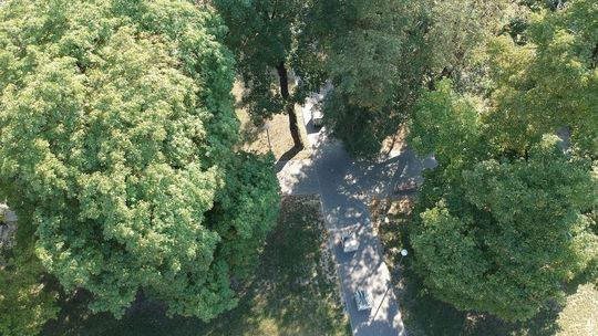 Chcą mieć ładniej za 24 mln zł. Zielony Budżet Obywatelski w Lublinie [lista projektów]