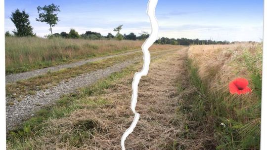 Chcą podzielić gminę na dwie części. Będzie drugie referendum