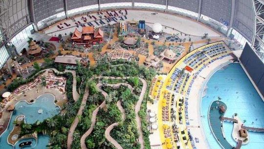 Chcą postawić jej zarzuty, ale muszą ją najpierw znaleźć. Zebrała pieniądze i zniknęła