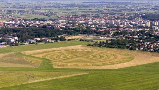 Chcą wykosić landart Koziary przy lotnisku. Przez susły perełkowane