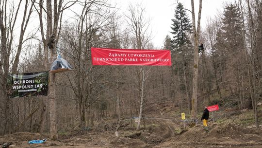 Chcą zablokować wycinkę cennego rezerwatu przyrody. Aktywista z Lublina: To był szok, ale nie poddajemy się