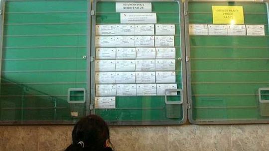 Chcesz odbyć staż w Niemczech? Ruszył nabór