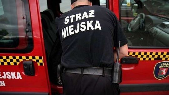 Chcesz pracować w Straży Miejskiej w Lublinie? Złoż dokumenty