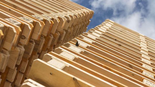 Chcesz sprzedać lub kupić palety? Sprawdź punkt skupu