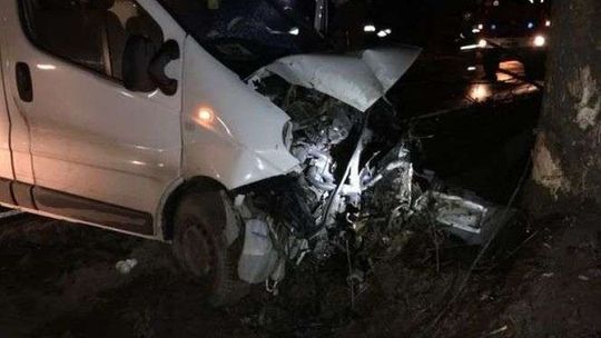 Chciał ominąć sarnę. Uderzył w drzewo