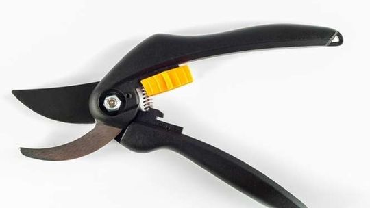 Chciał wynieść sekatory ze sklepu. Złapał go policjant po służbie