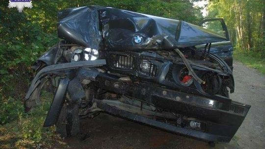 Chciała uniknąć zderzenia z dzikiem, wjechała w drzewo [zdjęcia]