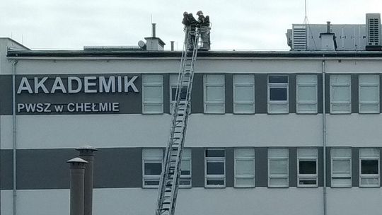 Chełm. Akcja strażaków w akademiku PWSZ [zdjęcia]