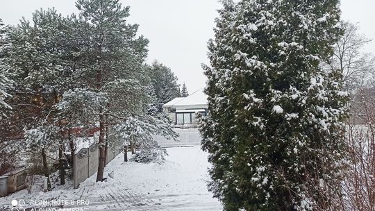 Chełm, Biała Podlaska. A jednak dziś jest biało [Prognoza pogody]