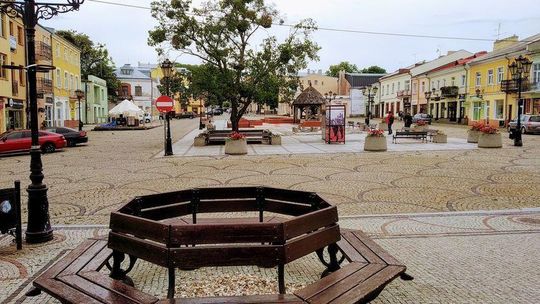 Chełm: Kiedy uschną ostatnie drzewa na pl. Łuczkowskiego? Porasta je pasożyt