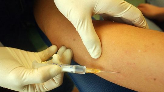 Chełm: Konferencja o pneumokokach