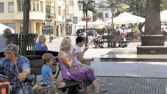 Chełm: Martwe drzewa straszą na placu Łuczkowskiego