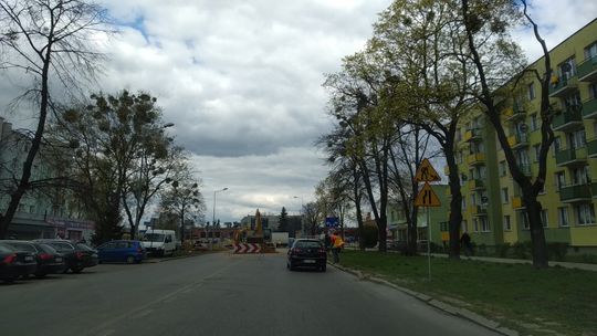 Chełm: Nie będzie masowej wycinki drzew w alei Piłsudskiego