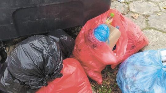 Chełm: Odpady medyczne na śmietniku