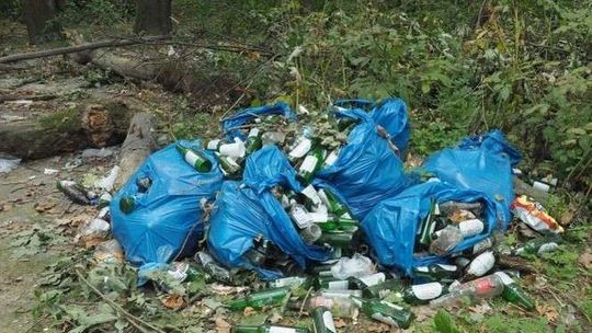 Chełm: Posprzątają swoje miasto