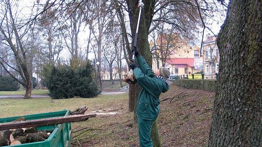 Chełm: Służby nie muszą odśnieżać. Za to pracują w parku