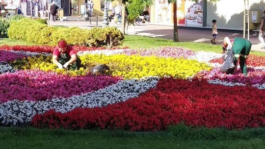 Chełm: Spółka chce pożyczyć spółce pracowników. ”To ratowanie trupa naszym kosztem”