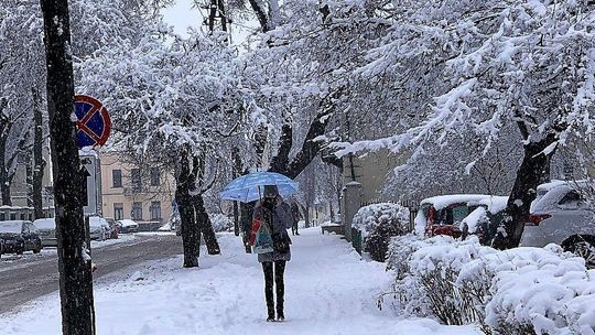 Chełm. Ulice i chodniki w śniegu. Gdzie dzwonić po pomoc?