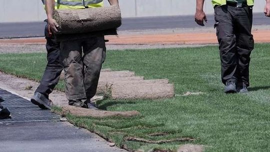 Chełm: W mieście będzie bardziej zielono