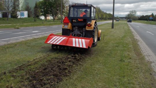Chełm: W mieście będzie pachniało. Wysieją łąki kwietne
