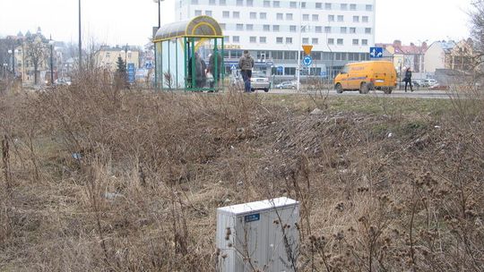 Chełm: Właściciele posesji muszą posprzątać po zimie, inaczej grzywny