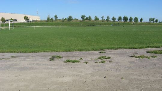 Chełm: Wymienią murawę na stadionie