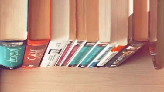 Chełm: Wyślij książkę na... wakacje