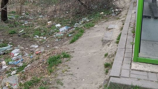  Chełm. Zbierali butelki za przystankiem. Było ich naprawdę sporo