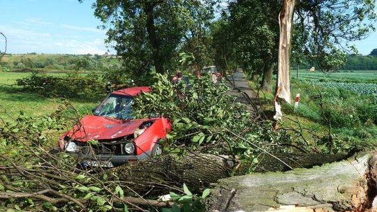 Chelmno: tragiczne skutki nawałnicy - drzewo przygniotło auto