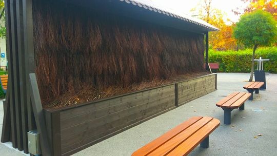 Chętnie się szczepili, będą mieć tężnię