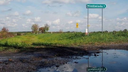 Chińczycy będą wydobywać bursztyn pod Lublinem? Już oglądali pola